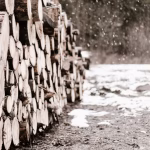 Photo Winter tires